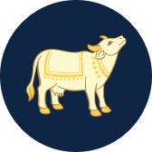 100+ dry cows are taken care