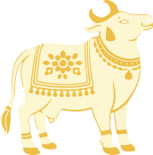 Center icon